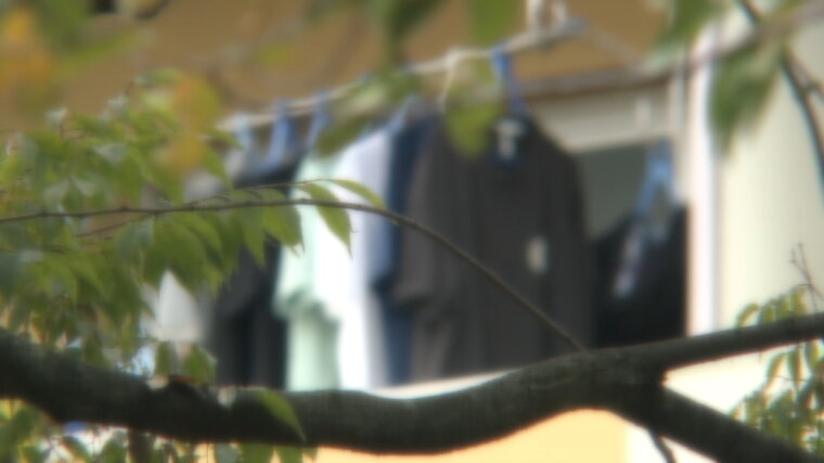 過去最多130人以上」大麻取締法違反により大阪で摘発された少年たち